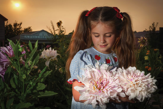 Sasha Gettle with one of her father's favorite dahlias, ‘Mom's Special.’